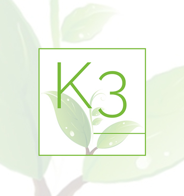 K3 Enterprise